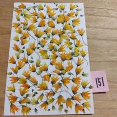 押し花〈メラスフェルラ〉151