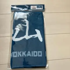 日本ハムファイターズ　選手直筆応援タオル　山縣秀