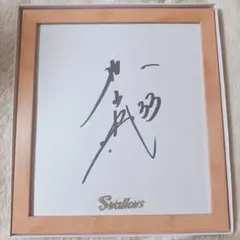 東京ヤクルトスワローズ swallows 直筆サイングッズ まとめ売り 内山壮真