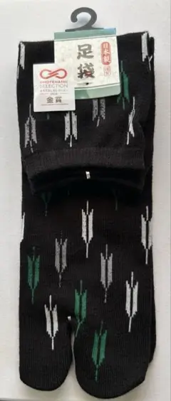 Item thumbnail for item b1a087dd-eea7-4ab8-954f-7bb4c39f052b