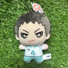 ハイキュー‼︎ サンリオコラボ ちみっともぬい 岩泉一