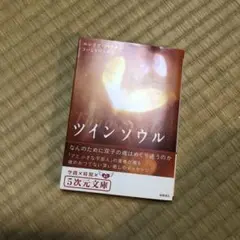 2025年最新】エンリケ・バリオス ツインソウルの人気アイテム