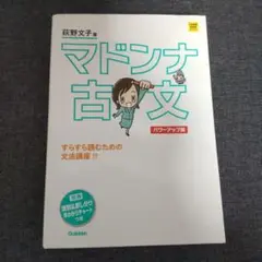 マドンナ古文 パワーアップ版 別冊 「識別&訳し分け」早わかりチャートつき