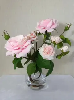 Item thumbnail for item af0b8dbb-f9a2-4170-8c68-c48002e5dd53