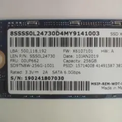 SanDisk SSD X600 256GB M.2 2280