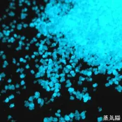 o7488 蓄光砂 水色 10g【夜光パウダー ハンドメイド素材】