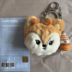 MINITEEN FACE PLUSH KEYRING shuasumi ver