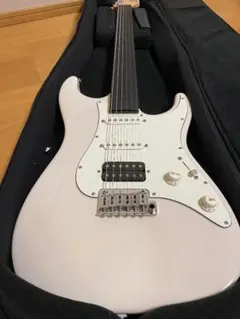 suhr ベース用ギグバッグ ブランドのギフト Bass Electric Padded Deluxe Suhr Guitar
