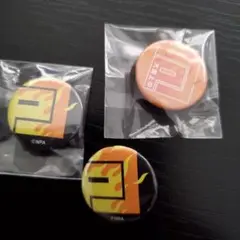 戦闘摂理解析システム　＃コンパス　ミニ缶バッジ　３点