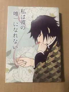 鬼滅の刃 同人誌 夢本 私は彼の唯一になれない 冨岡義勇×女夢主