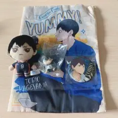ハイキュー　影山飛雄