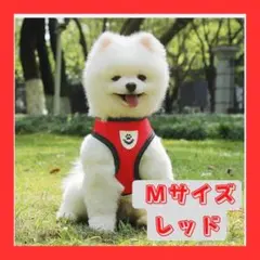 ハーネス リード ベスト リール Mサイズ