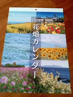 Item thumbnail for item 49cb5cd7-359a-48ef-8a9d-75784e34d0fa