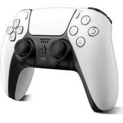 ps4コントローラー 2025年メンバー限定 Newluck P4