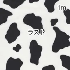 Item thumbnail for item 1643d497-3986-4d54-b7ff-cefc2d1785cf