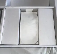 Apple MagicMouse USB-C
