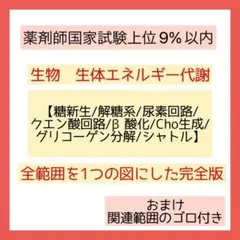【完全版❗️】薬剤師国家試験 生物 エネルギー代謝　A