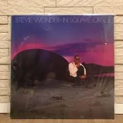 STEVIE WONDER / IN SQUARE CIRCLE