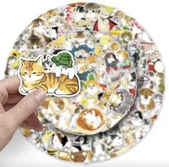 Item thumbnail for item 70ecc50b-b6b1-4578-8a4b-dd43c9256685