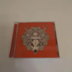 米津玄師　YANKEE CD アルバム