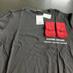 Item thumbnail for item 72d86792-091d-4b52-8599-0ed0855d8712