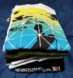 グラフィック＆テキストプリントTシャツ17枚売り