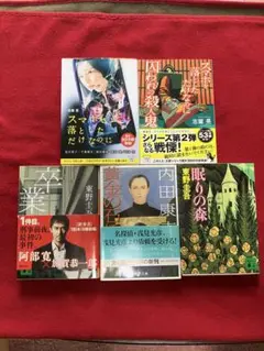 ミステリー小説　2冊で