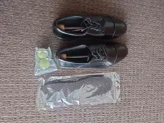 Item thumbnail for item 3c691255-b2d6-4361-aedc-ef9d64a7c807
