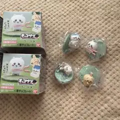 チョコサプ ちいかわ　ちいかわ　ハチワレ　うさぎ　あのこ