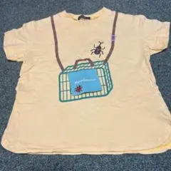 Tシャツ　昆虫　120