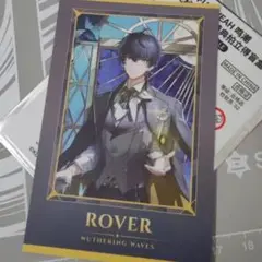 公式正規品　男漂泊者　特典　カード　鳴潮　流光秘語　TGP ポラロイド　主人公