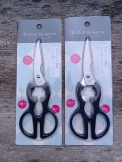 Item thumbnail for item b1c66c2f-9fab-4f40-bed9-3eafab80557e