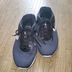 Item thumbnail for item 0e38eb19-b43f-45e7-bf5c-cc4ba7d58722