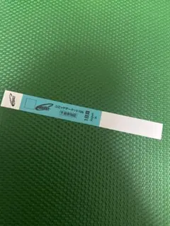 コミックマーケットC106 午前入場リストバンド 1日目