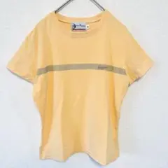 【美品】SERGIO TACCHINI 爽やかカラー◎ Tシャツ 【930】