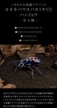 いきもの大図鑑　アドバンス　オオキバスバカミキリとハンミョウ