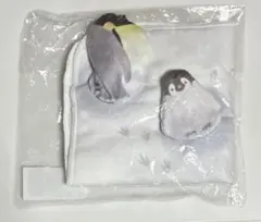 Item thumbnail for item 1abf0085-0f3b-4a15-9183-cad3115fe2b9