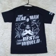 美品✨ WWE アンダーテイカーとCMパンク レッスルマニア29 Tシャツ