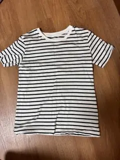 ストライプ Tシャツ サイズ　150