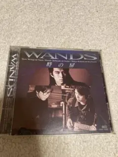 WANDS 時の扉 CD 1993年