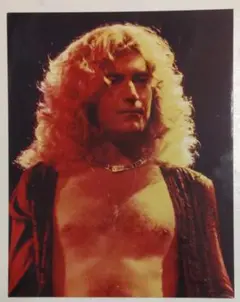 ☕Led Zeppelin ポートレート　③