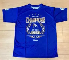 Mizuno 春の高校バレー　春高　2025 バレーボールTシャツ Mサイズ Mizuno 春の高校バレー 春高 2025 バレーボールTシャツ Mサイズ