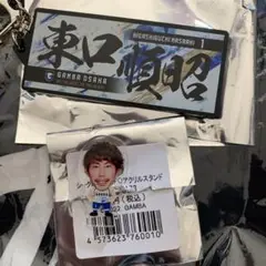 ガンバ大阪　EXPOタオル型キーホルダー　アクスタ　セット　東口順昭