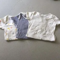 Item thumbnail for item 761851ae-b830-4ab3-9746-ab5f6186c8e6