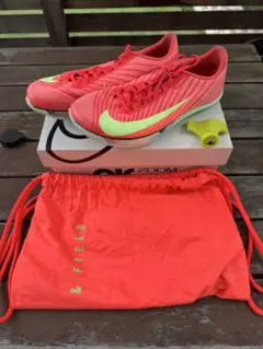 Item thumbnail for item 0eff066c-fd43-4b82-922f-6908fb299769