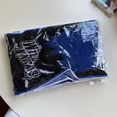 パナソニックワイルドナイツ　タオル　ラグビータオル
