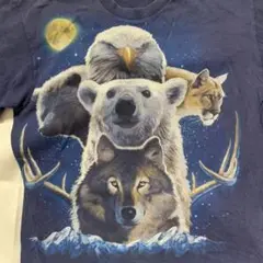CB 341【大人気動物柄】アニマルズ　月下の動物たち　大集合