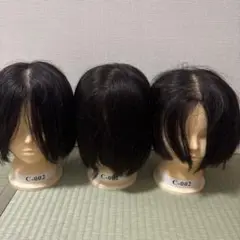 Item thumbnail for item 40e00485-336d-4916-a936-8126b5d2ac30