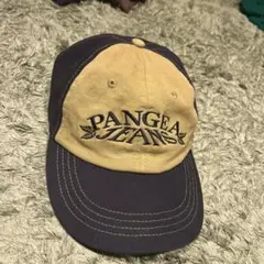 PANGEA LEAF LOGO CAP - BLACK/OLIVE
