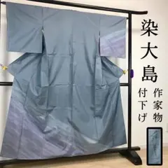 ZF338 染大島紬 付下げ 作家物 落款 正絹 袷 広衿 共八掛 高級 逸品